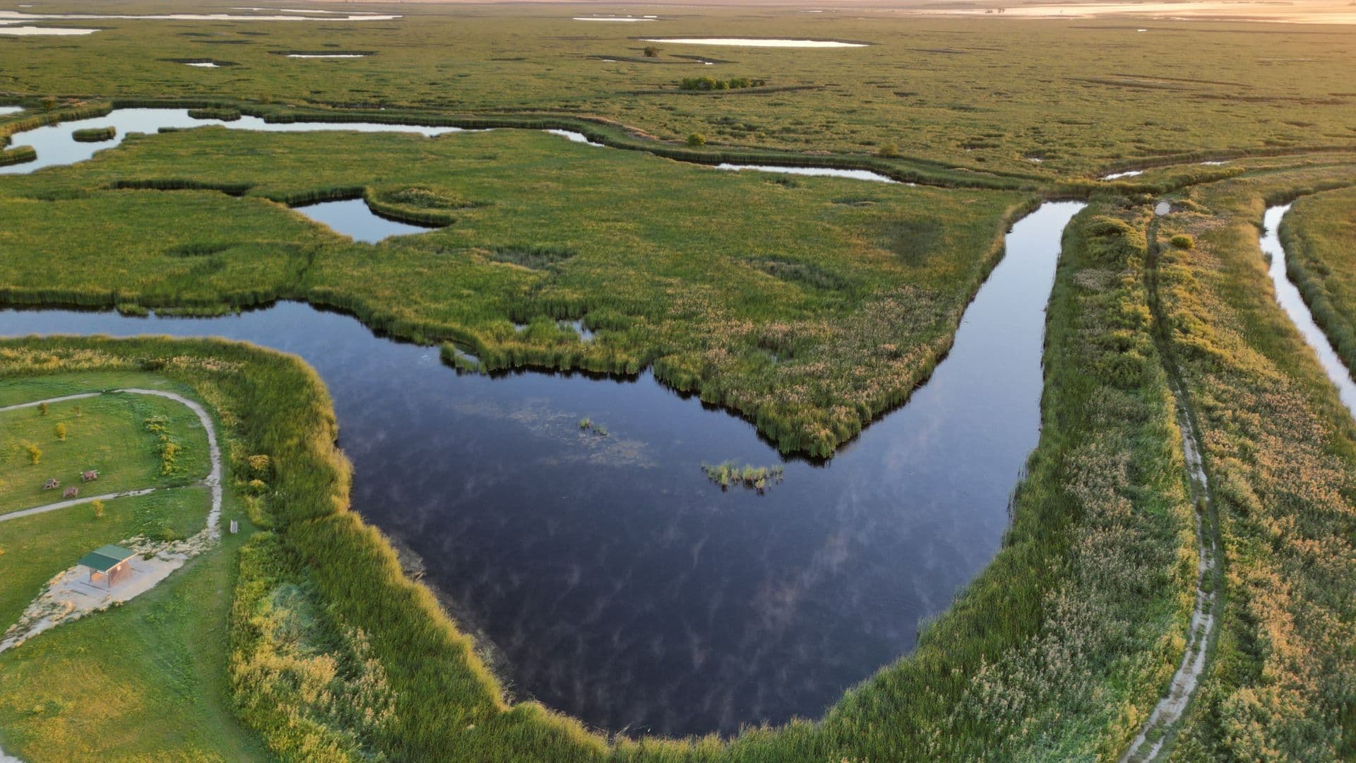 Life on Marsh wetland restoration site aerial view