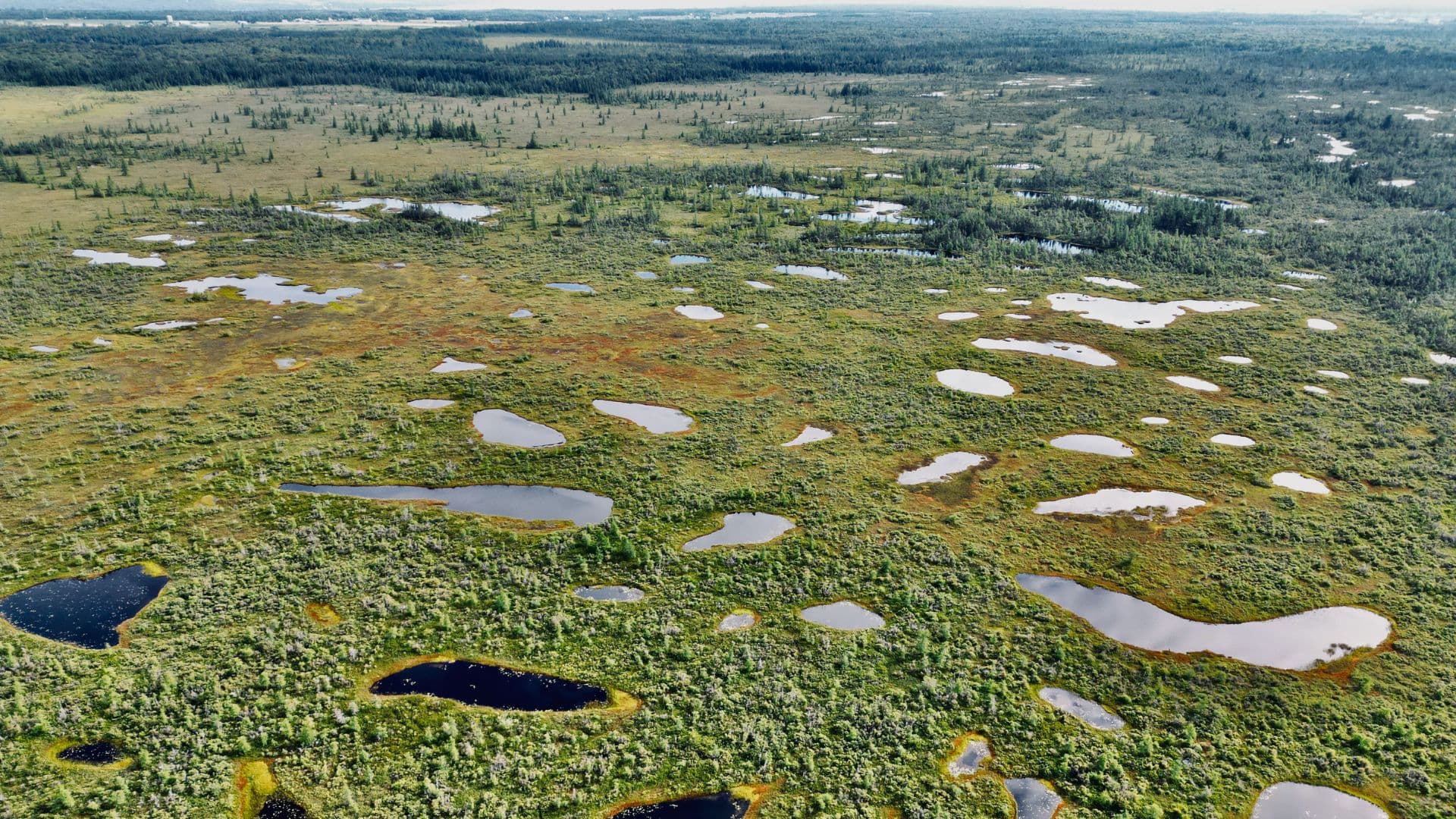 Aerial view of a vast wetland landscape